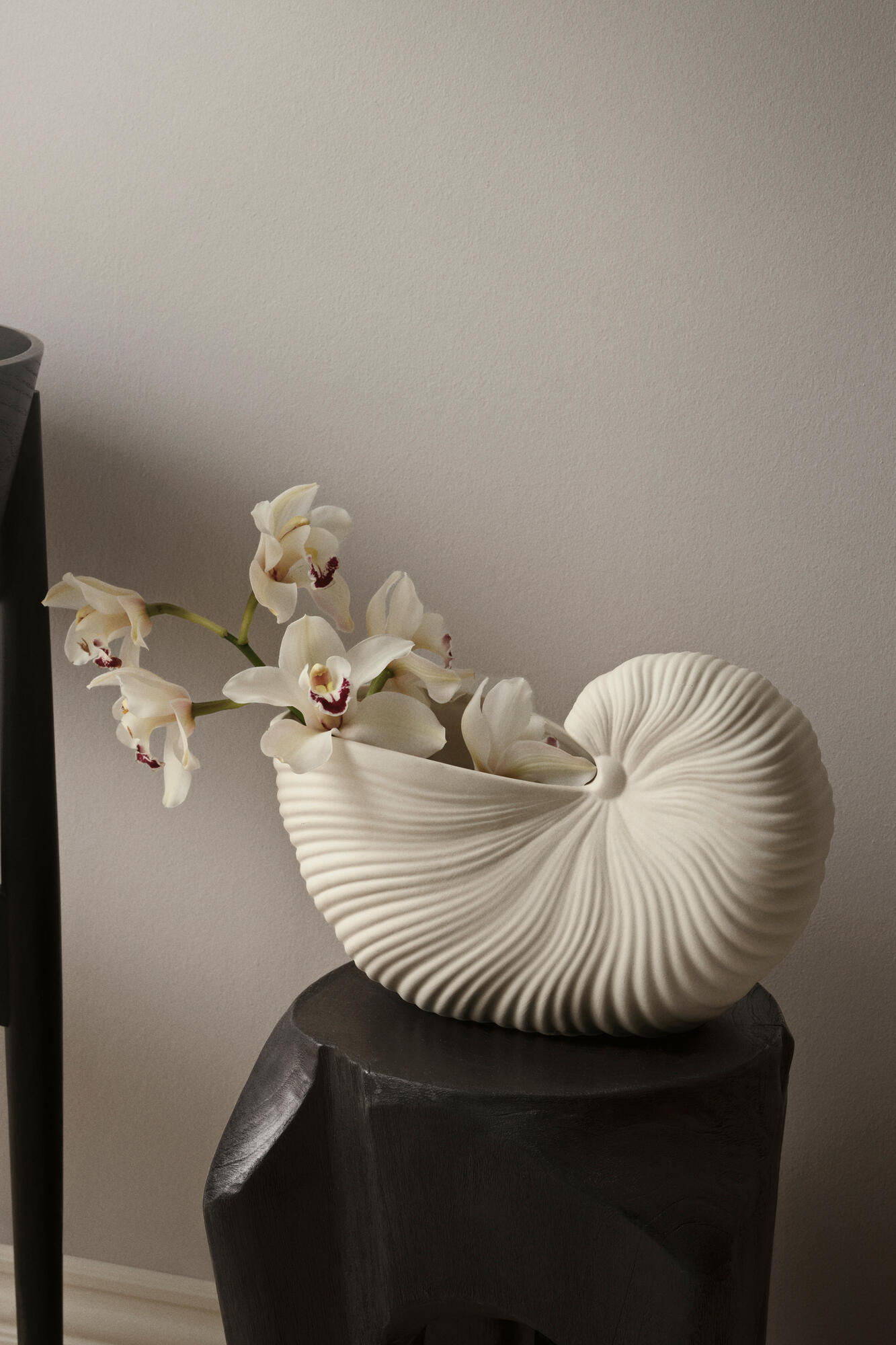 Shell vase - Off-White